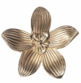 złoty uchwyt meblowy flower.png